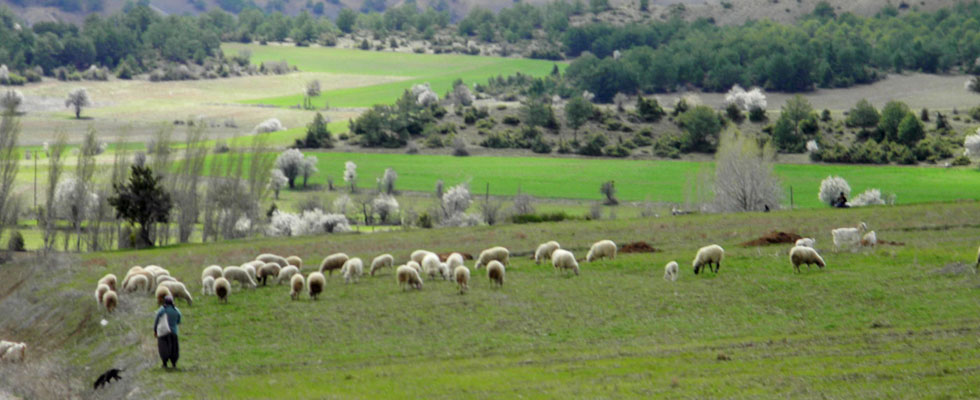 Dere Tepe Düzzz: ATV Safari Kartepe / Sapanca / Abant / Kartalkaya / Kaçkarlar / Kapadokya / Erciyes / Karpatlar - ATV ile Doğa Gezileri - Kişiye / Mini Gruplara Özel, ATV ile Uzun Mesafeli Doğa Gezileri